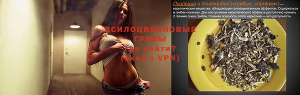 ECSTASY Лагань