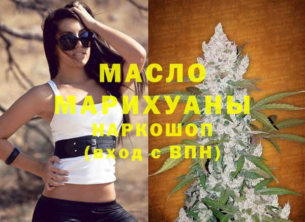 шишки Сосновый Бор