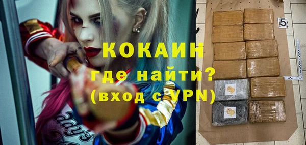 ECSTASY Лагань