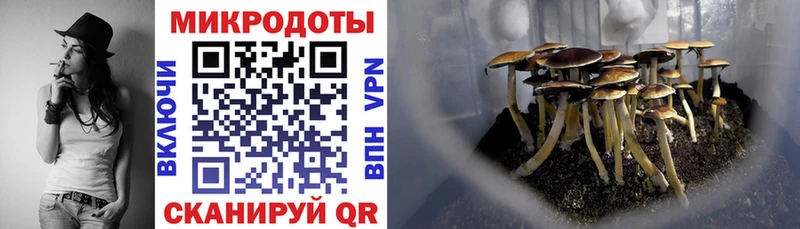 Галлюциногенные грибы мицелий Малоархангельск