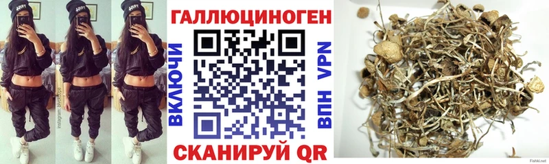 где продают   KRAKEN ссылка  Галлюциногенные грибы ЛСД  Малоархангельск 